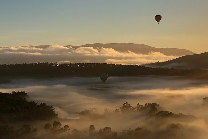 Yarra Valley Balloon Flight + Breakfast & Melbourne Pickup - Breakfast at Rochford Wines