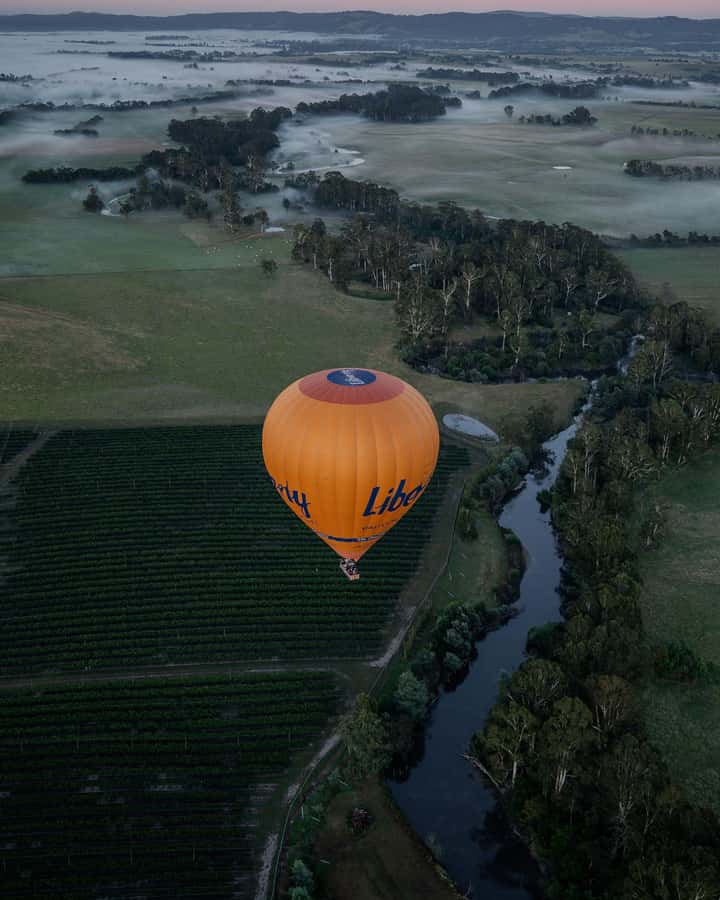 Yarra Valley: Balloon Flight with Breakfast - Who will enjoy this morning most?