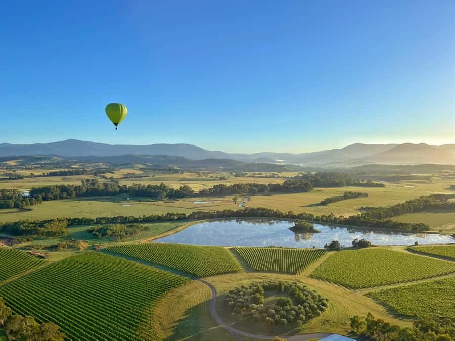 Yarra Valley: Hot Air Balloon with Breakfast & CBD Transfers - Key points at a glance