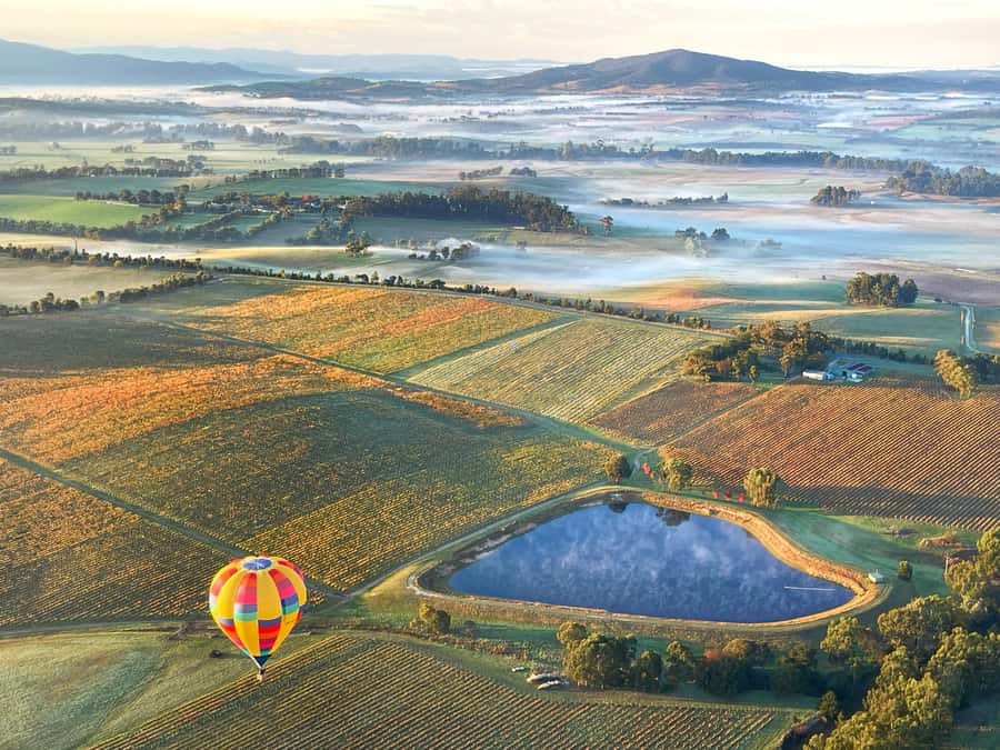 Yarra Valley: Hot Air Balloon with Breakfast & CBD Transfers - Landing, pack-up, and the useful GoPro photos
