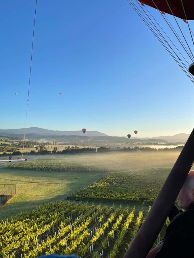 Yarra Valley : Hot Air Ballooning - The landing and the work afterward