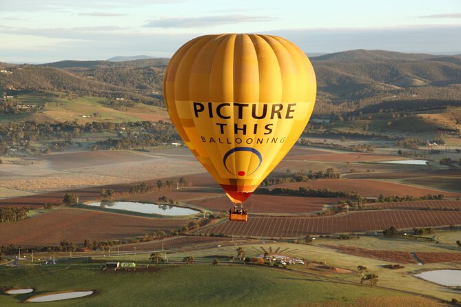 Yarra Valley sunrise balloon flight only - Is $307.70 good value?